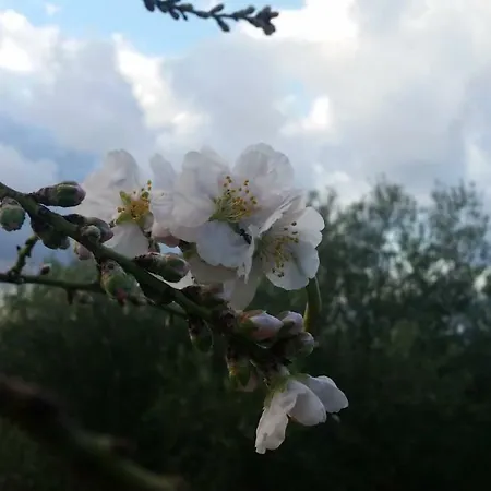 Salmagilandia Πανσιόν Terra Mala