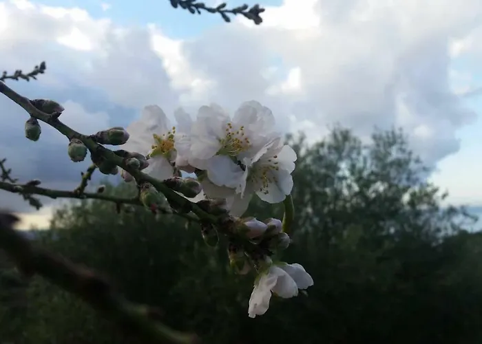 Salmagilandia Pensjonat Terra Mala